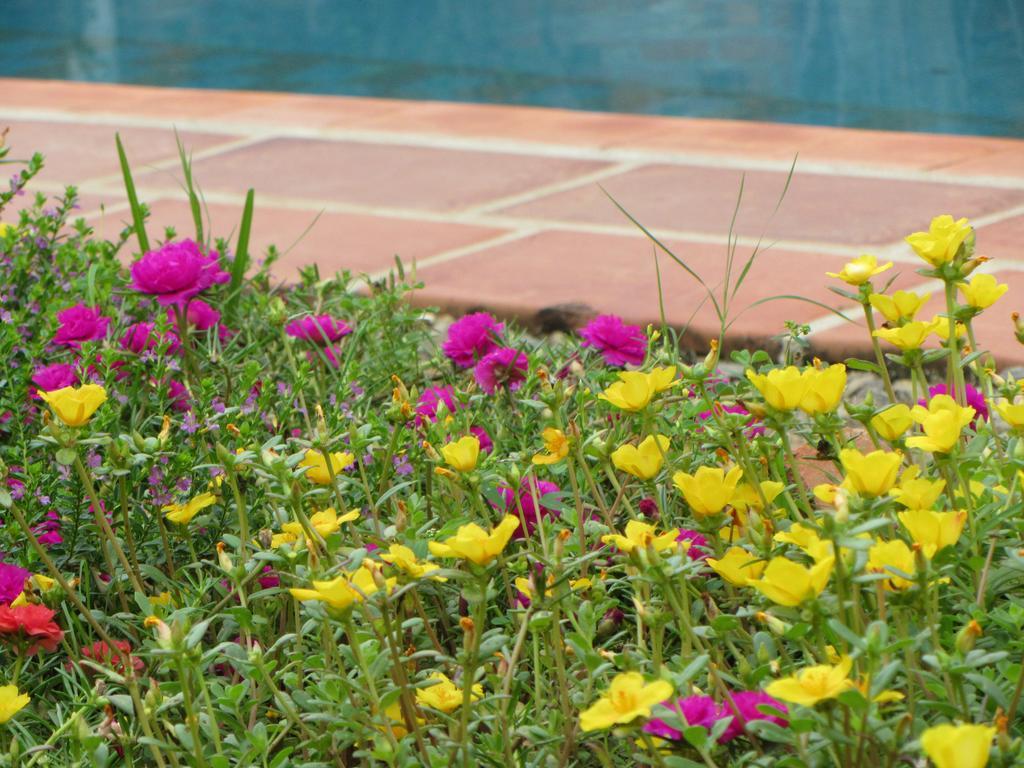 La Colorada Bed and Breakfast Zacualpan Exterior foto